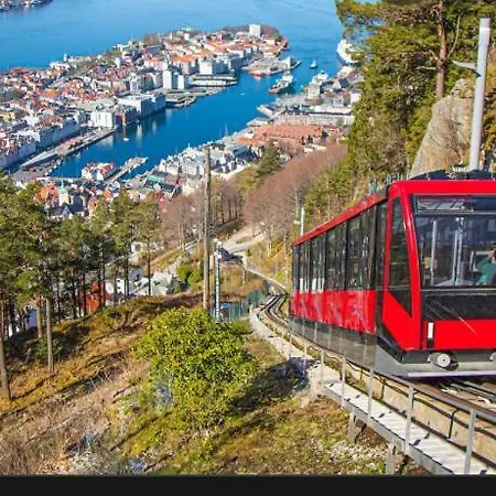 Sentrumsnaer Med 3 Soverom.